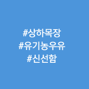 상하목장유기농우유