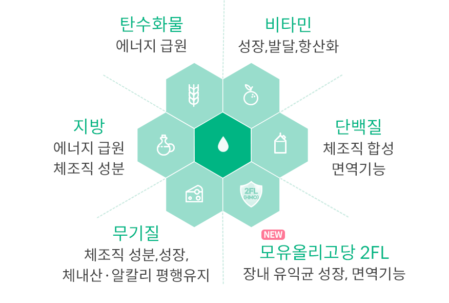 분석항목(탄수화물,비타민,단백질,무기질,지방)