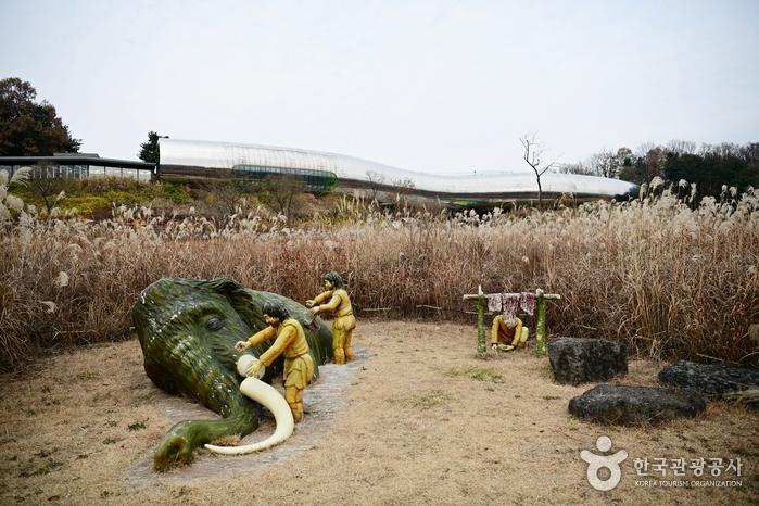 고운식물원 이미지